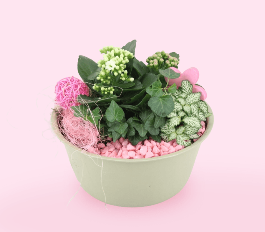 Arrangement in groene schaal met roze accenten