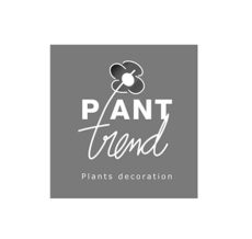 01_plant