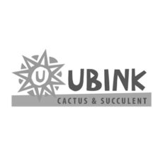 01_ubink