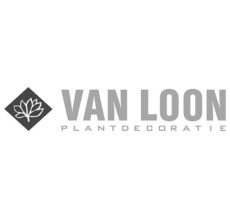 vanloon